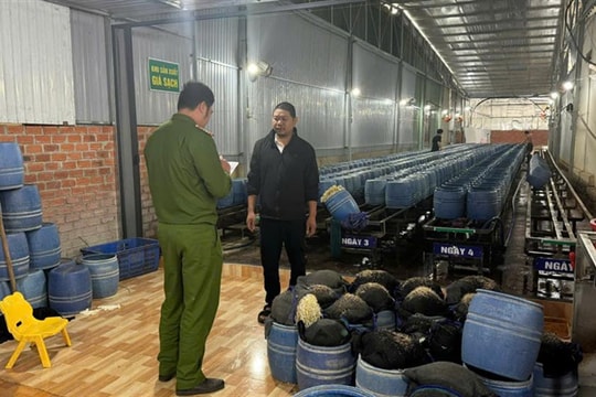 Vụ giá đỗ ở Đắk Lắk sử dụng chất cấm: Tăng trách nhiệm cơ sở sản xuất, phân phối sản phẩm