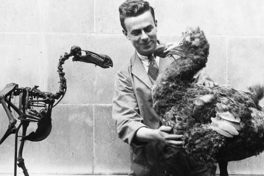 Các nhà khoa học tiến gần đến khả năng hồi sinh những loài đã tuyệt chủng