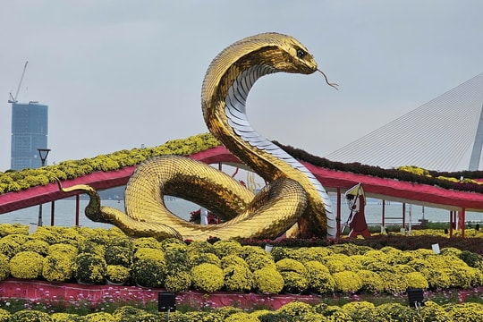 Chiêm ngưỡng linh vật Rắn trên đường hoa xuân Đà Nẵng 2025