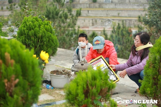 Người Hà Nội đi tảo mộ cuối năm, mời gia tiên về đón Tết