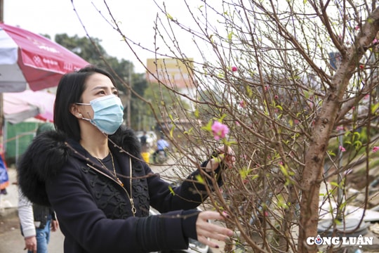 Thời tiết miền Bắc những ngày diễn ra Tết Nguyên đán ra sao?