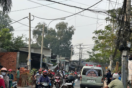 Điều tra vụ người đàn ông tử vong trong tư thế treo cổ trên cây cổ thụ ở TP HCM