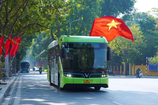  80 tuần Vingroup “phủ xanh” Việt Nam