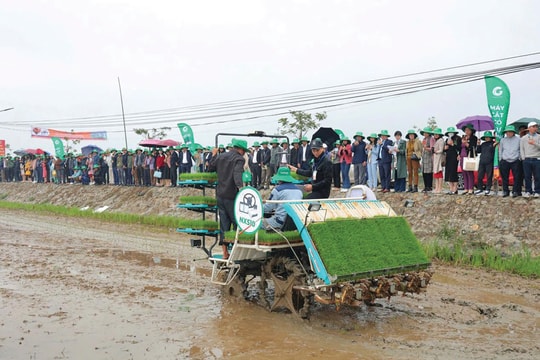 Ngành nông nghiệp Ninh Bình vượt khó về đích với những kết quả ấn tượng