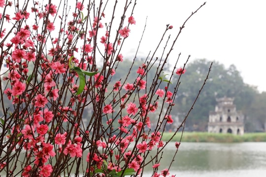 Đồng chí Nguyễn Đức Lợi tới thăm và chúc Tết gia đình các nhà báo lão thành