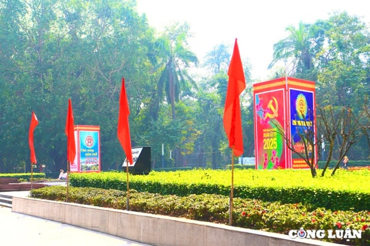 Phố phường Hà Nội rực rỡ sắc đỏ trước thềm Tết Nguyên đán 2025