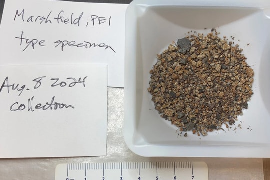 Camera ghi lại cảnh thiên thạch rơi xuống ngôi nhà ở Canada