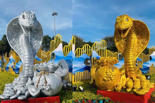 Chiêm ngưỡng bộ đôi 'rắn vàng, rắn bạc' ở Gia Lai mang ý nghĩa sung túc, phát triển