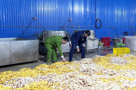 Hải Dương: Phát hiện xưởng sơ chế hơn 7 tấn chân gà đông lạnh không rõ nguồn gốc