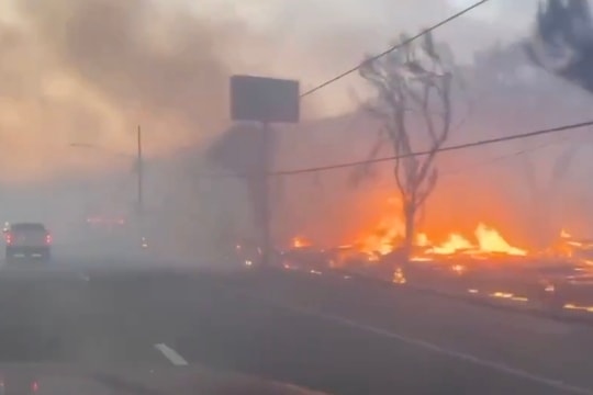 Cháy rừng ở Los Angeles bùng phát mạnh do gió lớn