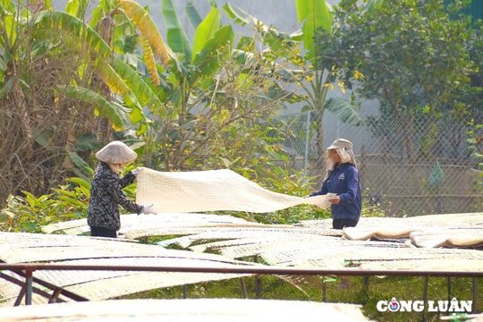 Làng miến Dương Liễu tất bật những ngày cận Tết Ất Tỵ