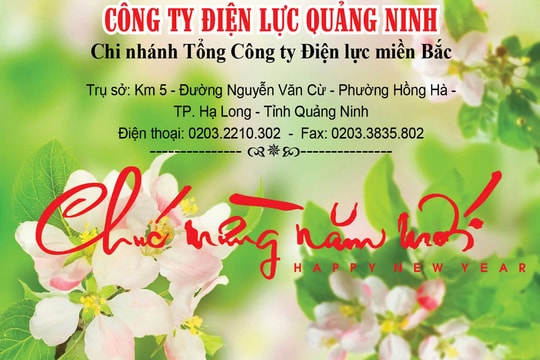 Công ty Điện lực Quảng Ninh: Luôn đảm bảo cung ứng điện an toàn trên địa bàn