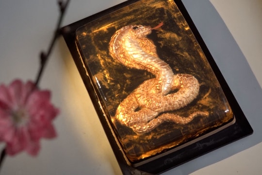 Bánh thạch 3D hình rắn độc lạ chào xuân Ất Tỵ