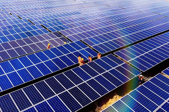 Năm 2024, doanh thu Bamboo Capital cán mốc 4.371,9 tỷ đồng, lợi nhuận sau thuế tăng gấp 5 lần