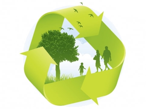 Thí điểm phát triển thị trường các-bon tại Việt Nam đến hết năm 2028