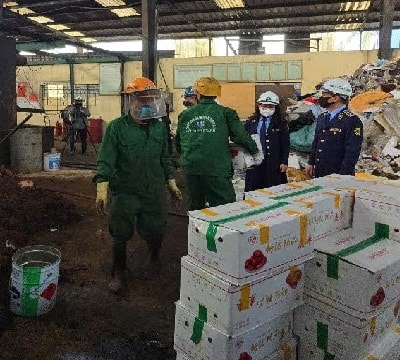 Hải Dương: Ngăn chặn hơn 1,4 tấn táo đỏ khô nhập lậu đã biến chất