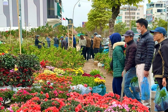 TP Hải Dương: Cây cảnh giảm giá mạnh dịp cận Tết Nguyên đán Ất Tỵ 2025