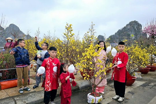 Quảng Ninh: Tưng bừng chợ hoa Xuân Hạ Long năm 2025