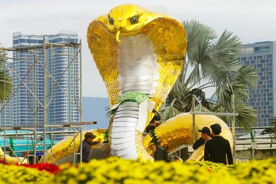 Đà Nẵng đóng đường Bạch Đằng nối dài phục vụ phố đi bộ dịp Tết