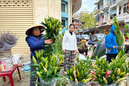 TP Hải Dương: Hoa tươi bình ổn giá, tiểu thương 'đắt hàng' như tôm tươi
