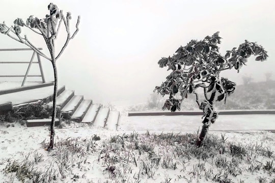 Nhiều nơi ở miền Bắc có tuyết rơi