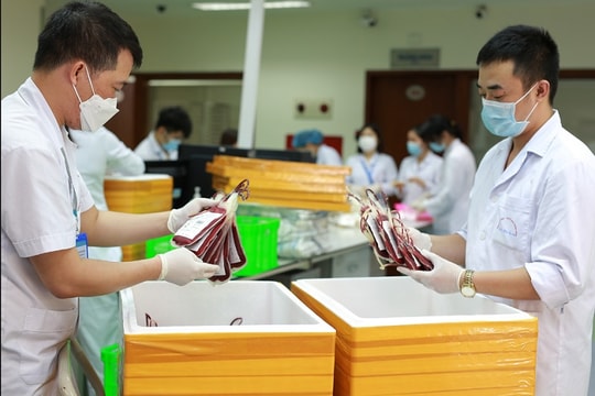 Hải Phòng: Dự trữ hơn 3.000 đơn vị máu, phục vụ nhu cầu chữa bệnh của người dân dịp Tết