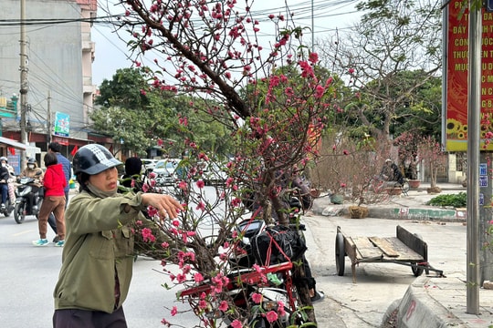 Ngày 29 Tết, giá mặt hàng nào tăng mạnh nhất?