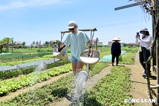 Sức hấp dẫn của làng rau Trà Quế - làng du lịch tốt nhất năm 2024 của Liên hợp quốc