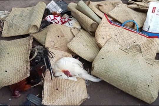 Triệt phá sòng bạc đá gà quy mô lớn, thu giữ gần 500 triệu đồng