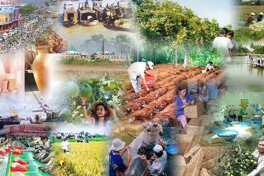 Loạt chính sách mới có hiệu lực từ tháng 2/2025