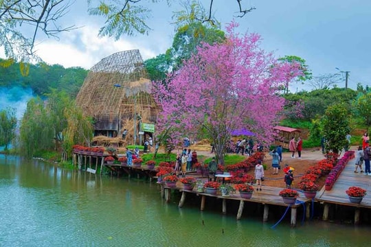 Khu du lịch Măng Đen 'vỡ trận' dịp Tết Nguyên đán Ất Tỵ 2025