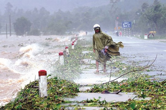 Phạt 40 triệu đồng cho hành vi truyền, phát tin dự báo thiên tai giả