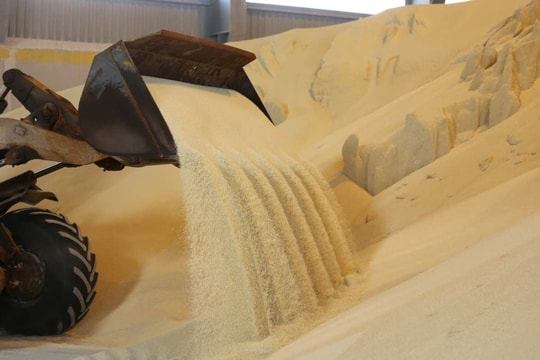 Châu Âu sắp tăng thuế quan đối với phân bón của Nga