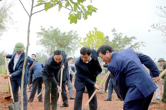 Tết trồng cây Xuân Ất Tỵ năm 2025 ở Phú Thọ: Phát huy truyền thống tốt đẹp của dân tộc