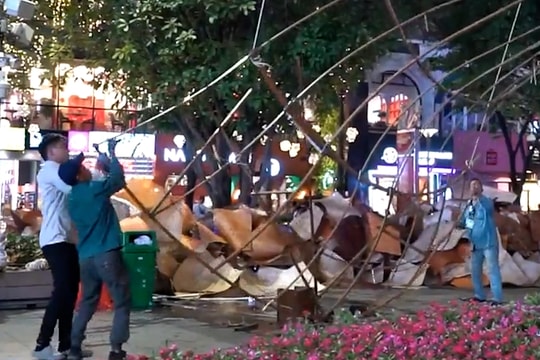 Hàng trăm công nhân xuyên đêm dọn đường hoa Nguyễn Huệ