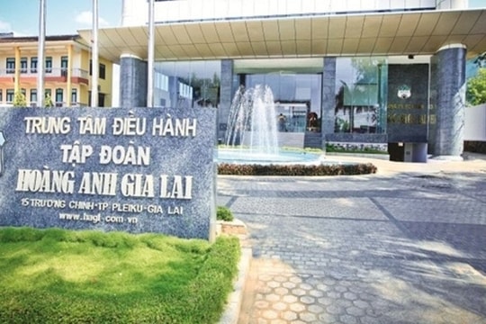 Chi phí tài chính tăng cao, lợi nhuận Hoàng Anh Gia Lai (HAG) sụt giảm 80%