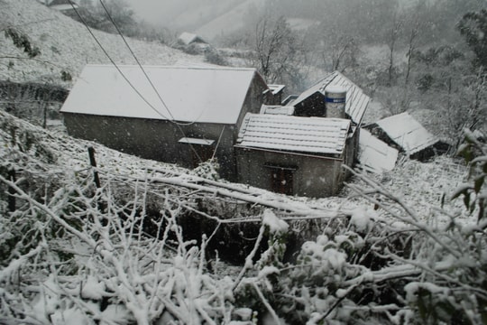 Cảnh báo băng tuyết, sương muối gây hại ở vùng núi cao tỉnh Lào Cai