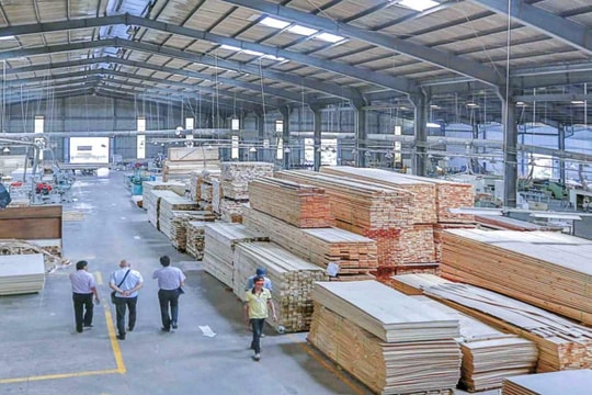 Gỗ Trường Thành (TTF) thoát lỗ nhờ bán tài sản, doanh thu tài chính vọt lên 18 lần