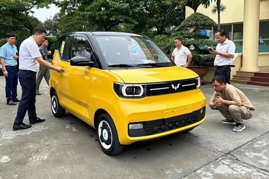 Công ty phân phối xe Wuling tại Việt Nam - Ô tô TMT lỗ kỷ lục trong năm 2024