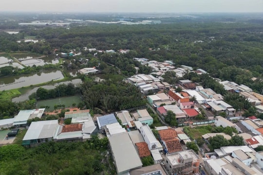 Bộ Tài chính đề xuất miễn, giảm tiền thuê đất cho dự án nông nghiệp