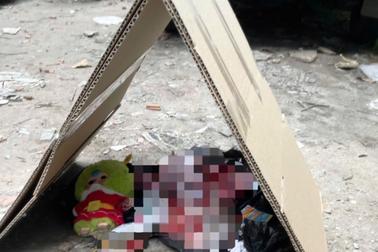 Làm rõ vụ thi thể trẻ sơ sinh bị bỏ rơi ở bãi đất trống ở TP HCM