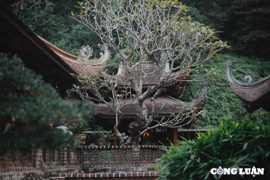 Đầu năm du xuân đến Địa Tạng Phi Lai Tự, ngôi chùa đẹp như chốn tiên cảnh ở Hà Nam