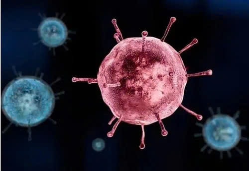 Bộ Y tế thông tin về đợt bùng phát dịch cúm mùa tại Nhật Bản