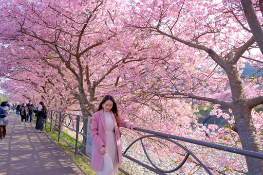 Du khách Việt vẫn đến Nhật sau thông tin dịch cúm