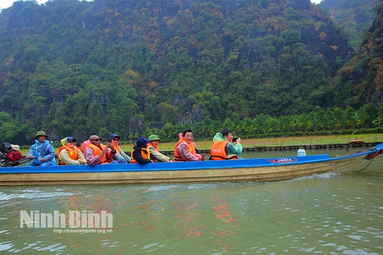 Tổng giám đốc tổ chức FAO về Ninh Bình thăm cánh đồng lúa đẹp nhất Việt Nam