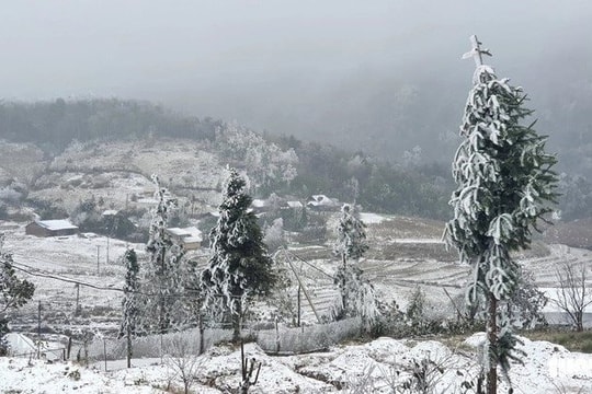 Dự báo thời tiết ngày 8/2: Miền Bắc mưa rét, vùng núi dưới 3 độ