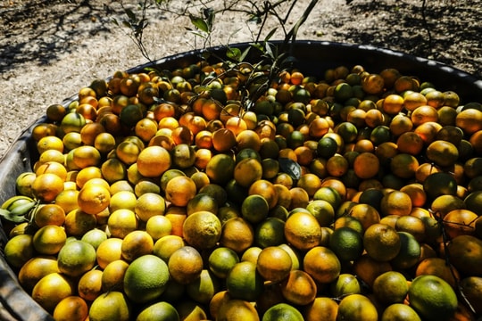 Giá thực phẩm tại Mỹ sắp leo thang vì chiến tranh thương mại mới