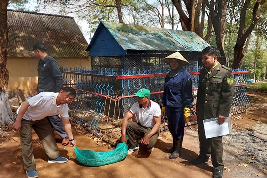 Gia Lai: Vườn Quốc gia Kon Ka Kinh tiếp nhận 14 cá thể động vật nguy cấp, quý hiếm