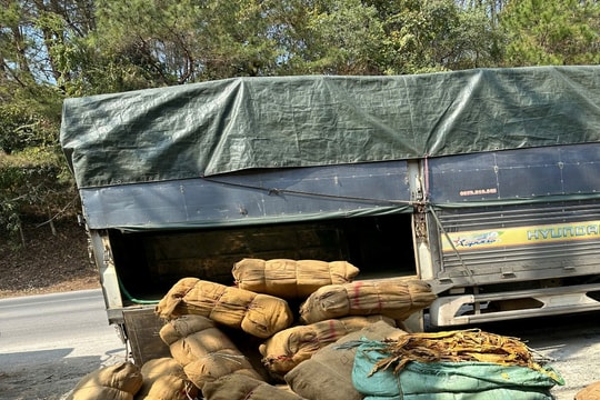 Cao Bằng phát hiện gần 3.000 kg lá cây thuốc lá sấy khô không rõ nguồn gốc