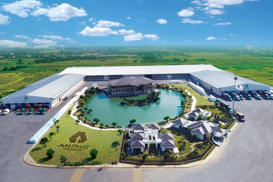 An Phát Holdings (APH) đặt mục tiêu lãi 2025 chỉ bằng một nửa năm trước